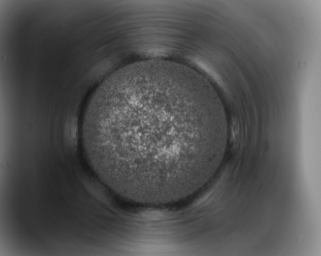 X0000088870494200706151756