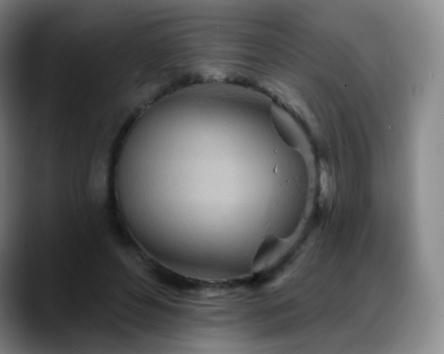 X0000088870496200706151756