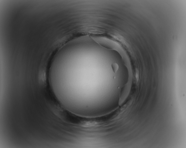 X0000088870500200706151756