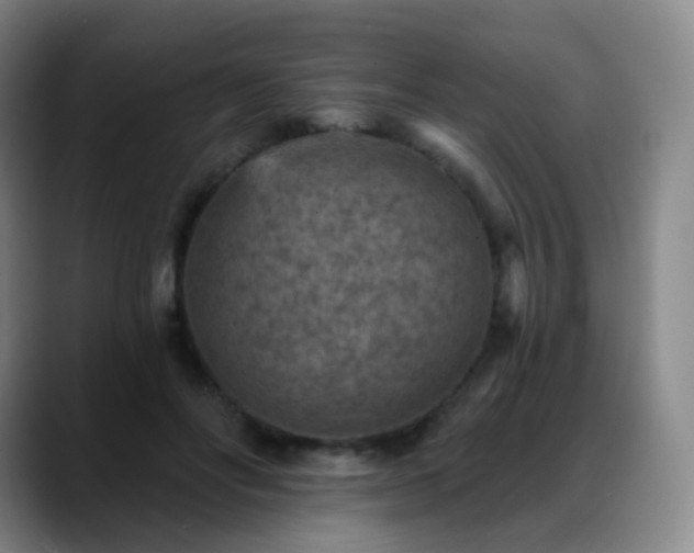 X0000088870502200706151756