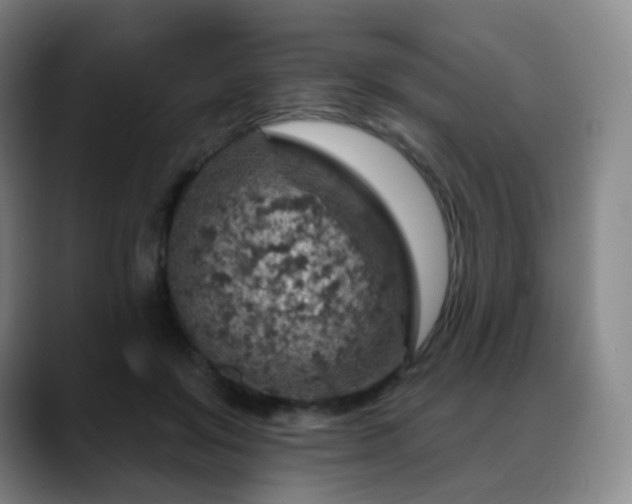 X0000088870503200706151756