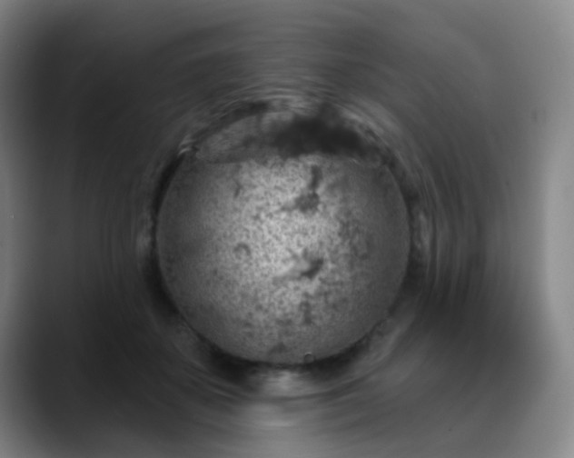 X0000088870507200706151756