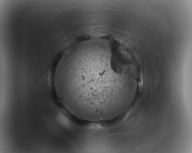 X0000088870519200706151756