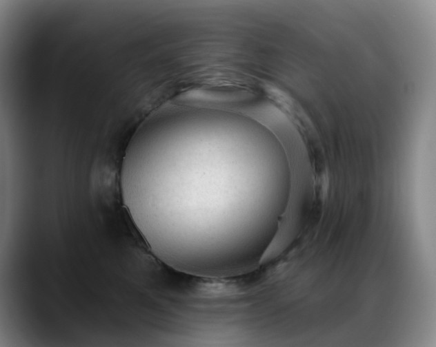 X0000088870521200706151756