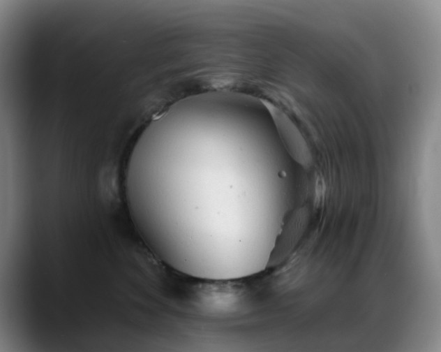 X0000088870524200706151756