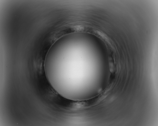 X0000088870525200706151756