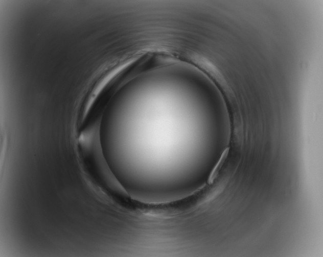 X0000088870530200706151755