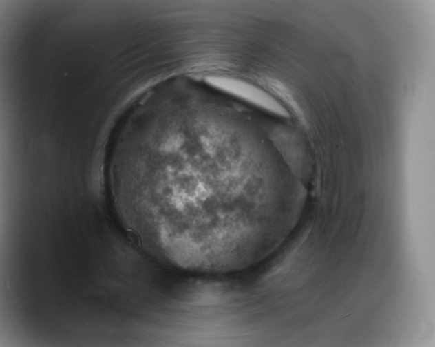 X0000088870531200706151755