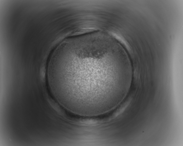 X0000088870533200706151755