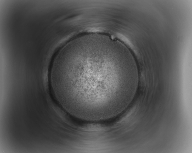 X0000088870535200706151755