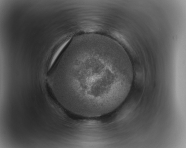 X0000088870539200706151755