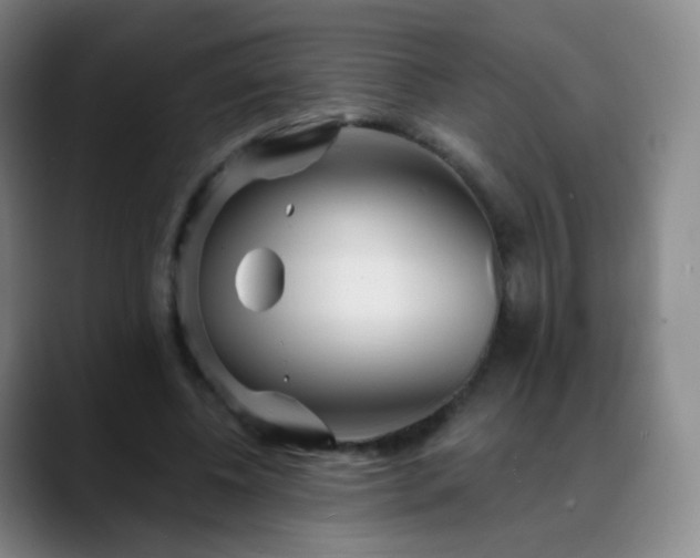 X0000088870540200706151755