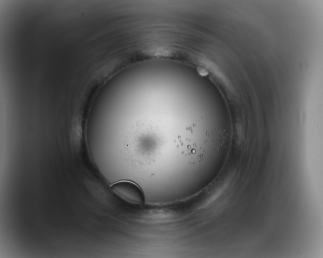 X0000088870541200706151755
