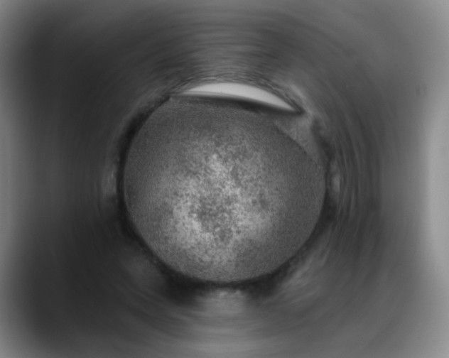 X0000088870543200706151755