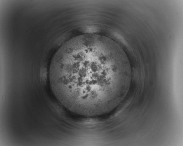 X0000088870549200706151755