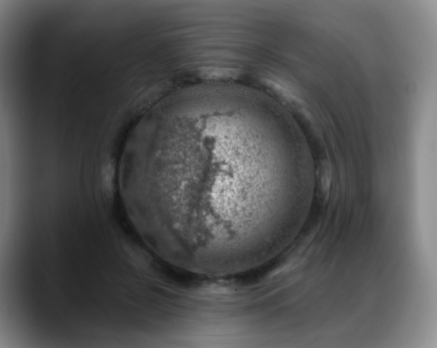 X0000088870550200706151755