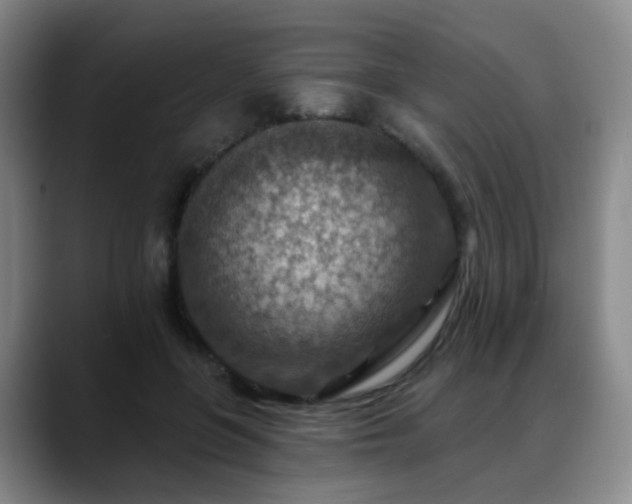 X0000088870551200706151755
