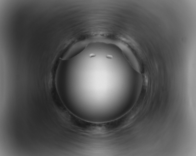 X0000088870552200706151755