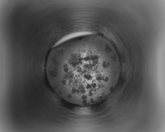 X0000088870553200706151755