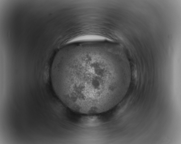 X0000088870554200706151755