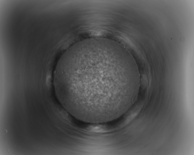 X0000088870557200706151755
