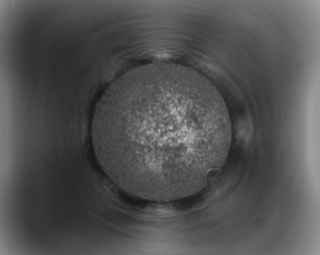 X0000088870559200706151755