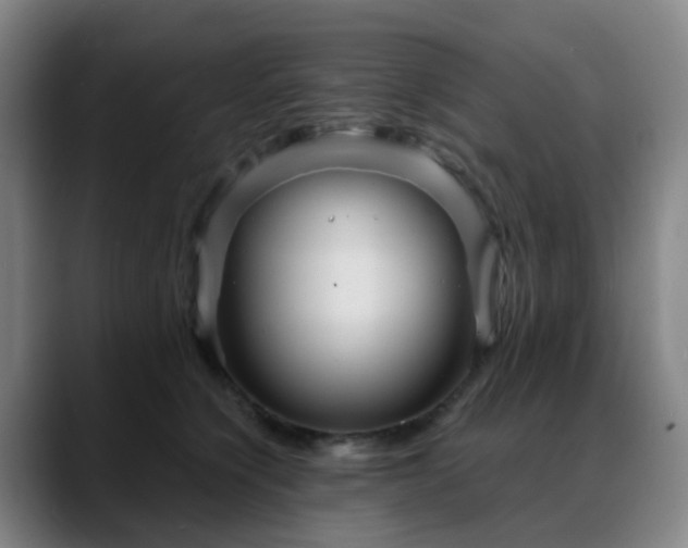 X0000088870564200706151755