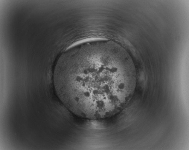 X0000088870565200706151755