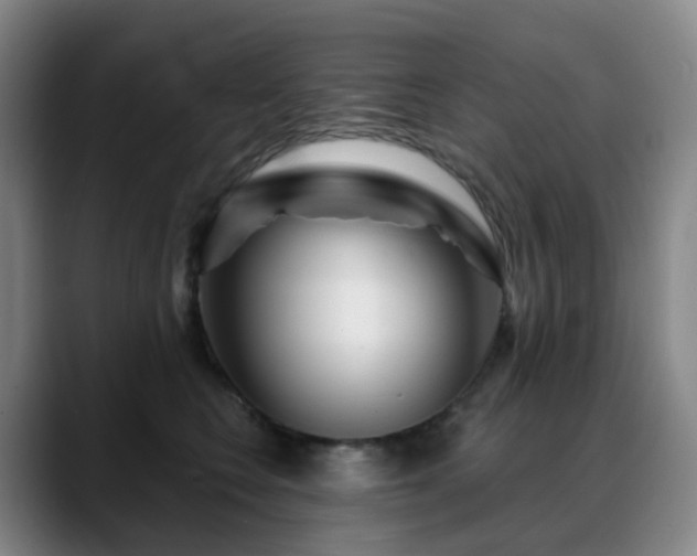 X0000088870566200706151755