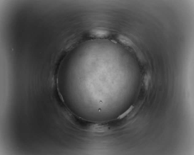 X0000088870568200706151755