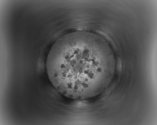 X0000088870569200706151755