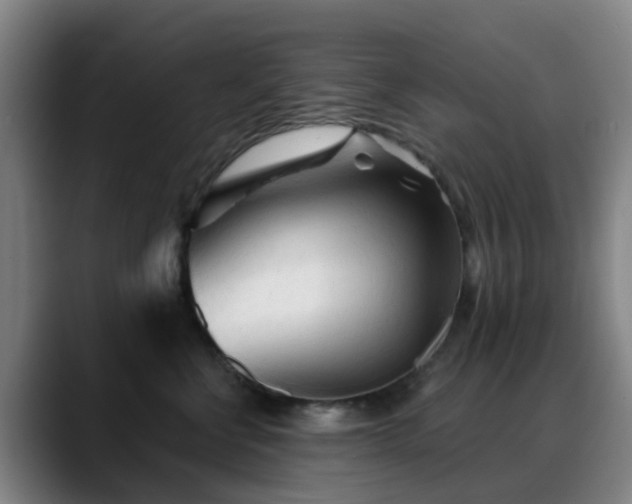 X0000088870570200706151755