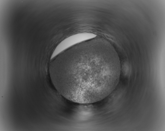 X0000088870571200706151755