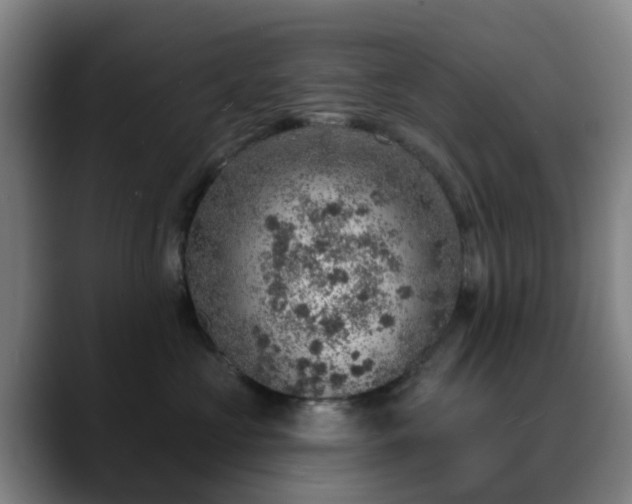 X0000088870573200706151755