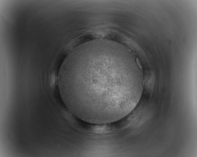 X0000088870574200706151755