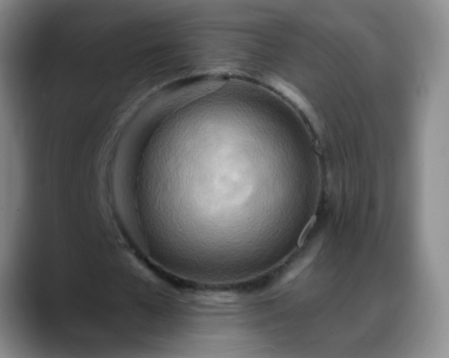 X0000088870577200706151755