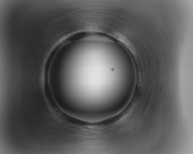X0000088870580200706151755