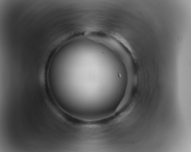 X0000088870581200706151755