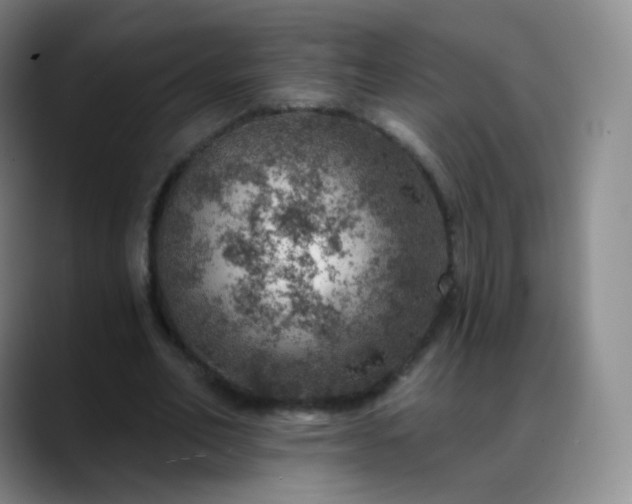 X0000088870582200706151755