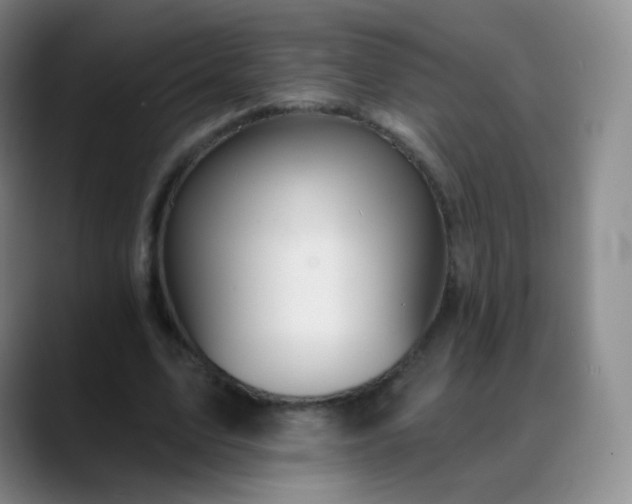 X0000088870583200706151755
