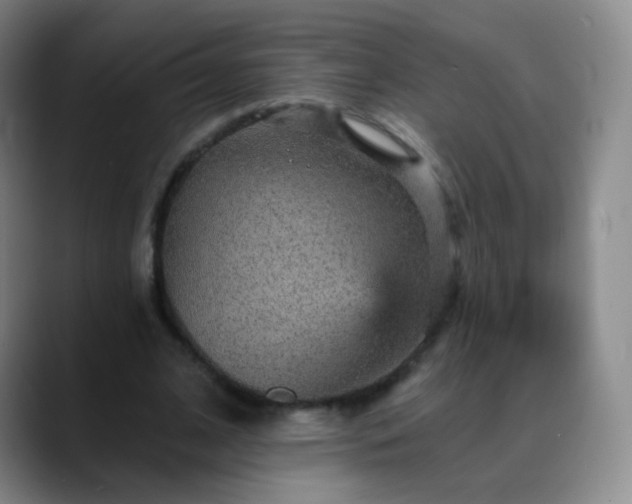 X0000088870584200706151755