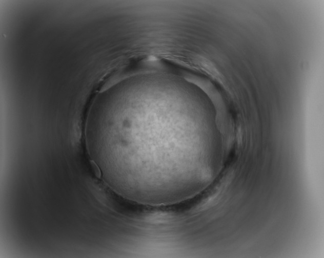 X0000088870593200706151755