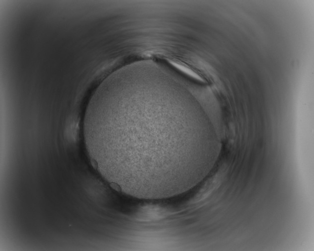 X0000088870596200706151755