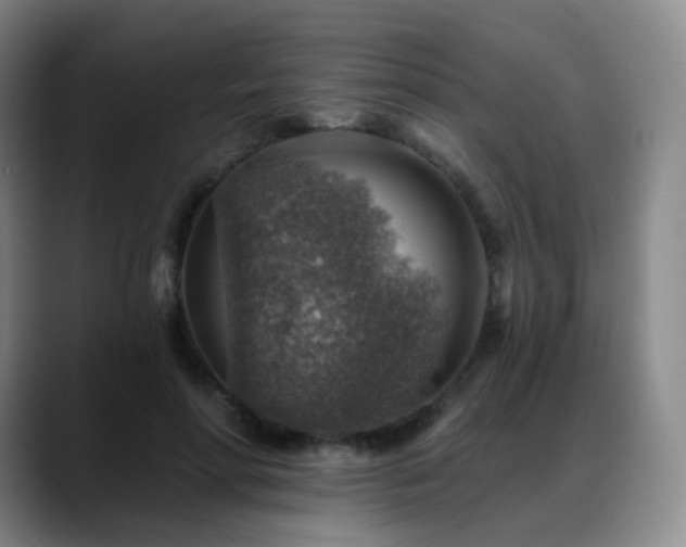 X0000088870598200706151755