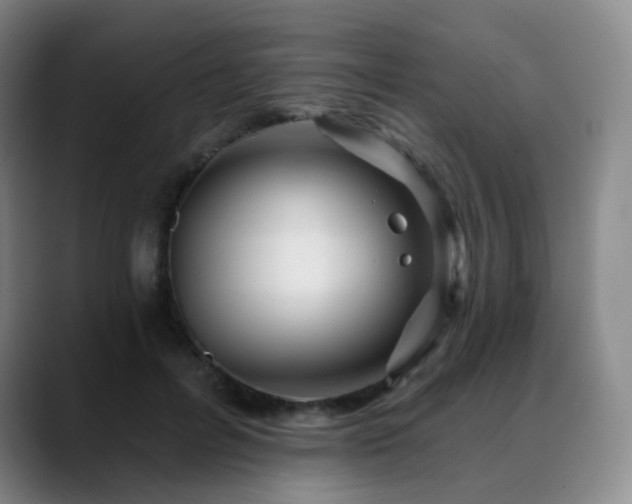 X0000088870600200706151755