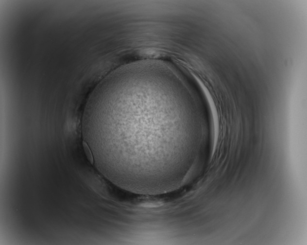 X0000088870601200706151755