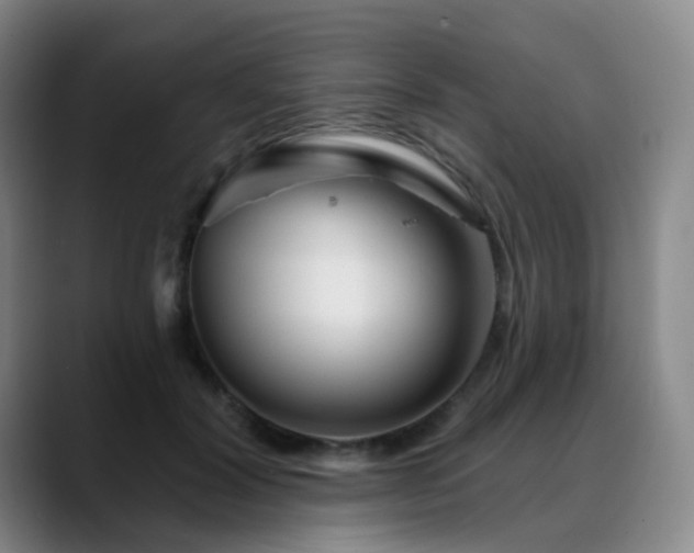 X0000088870604200706151755