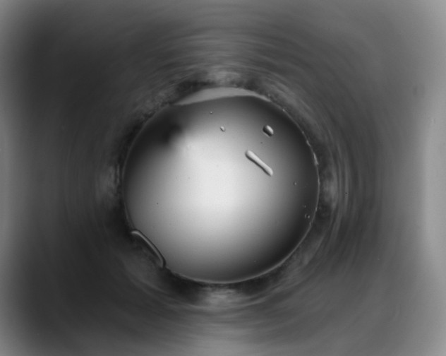 X0000088870605200706151755