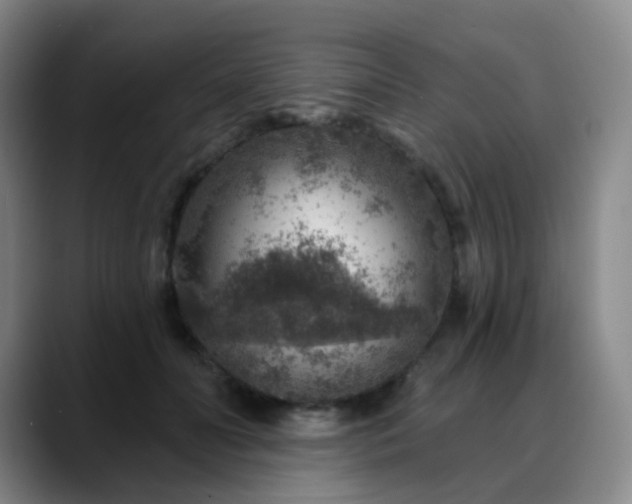 X0000088870606200706151755