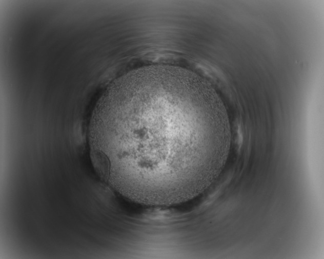 X0000088870607200706151755